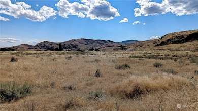 158 Riverside Cutoff Rd, Riverside, WA 98849 - photo 6