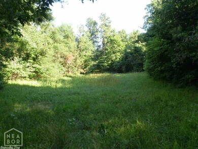 4577 Greene 609 Rd, Paragould, AR 72450 - photo 5