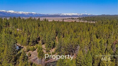 L19 Silver Cloud Dr, Cascade, ID 83611 - photo 7