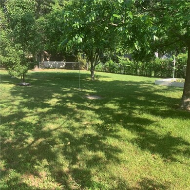 Tree shade back yard