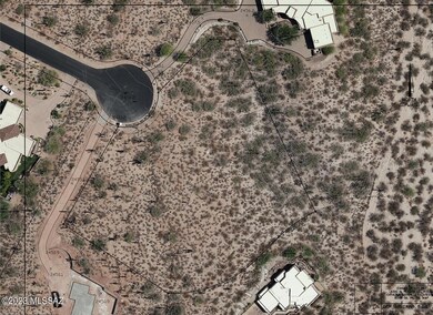 Aerial Survey