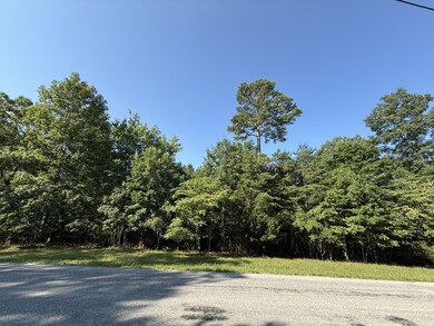 0 Bluff View Dr unit RTC2973731, Dunlap, TN 37327 - photo 5