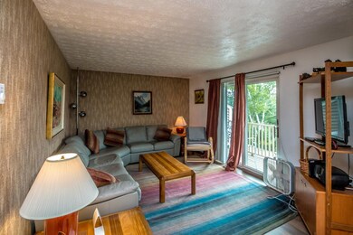 5 Vista View Ln unit 5, Bartlett, NH 03812 - photo 7