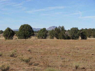 80 Cattle Dr, Ash Fork, AZ 86320 - photo 5