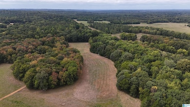 6040 Alabama 28, Snow Hill, AL 36768 - photo 4