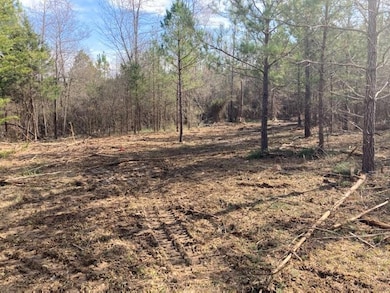 0000 Riddle Mill Rd, Clover, SC 29710 - photo 6