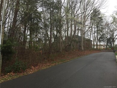 Lots are located on the left side of this dead end