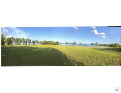 TBD Collier Rd, Lewisville, AR 71845 - photo 3