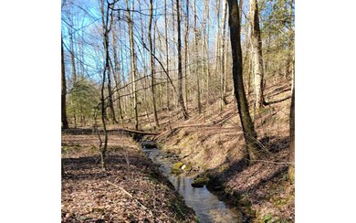 Additional View