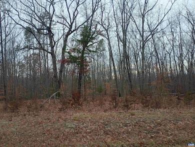 0 Axtell Rd unit 671721, Scottsville, VA 24590 - photo 2