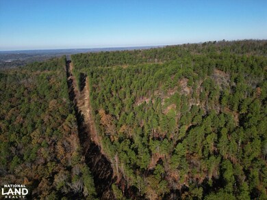 Hwy 11, Pelham, AL 35124 - photo 6