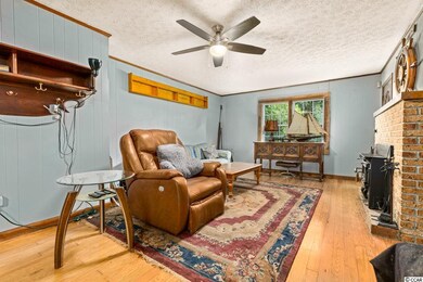 1076 Mcnabb Rd, Loris, SC 29569 - photo 6