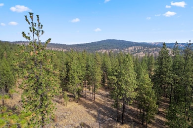 nka Rocky Top Way, Deer Park, WA 99006 - photo 6