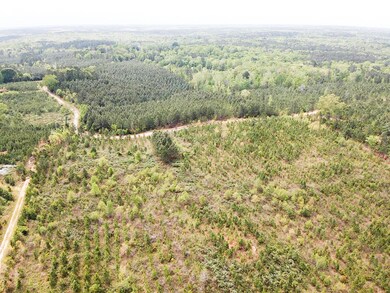 35acre Broad Rd 4