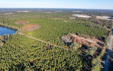 0 Tbd Cr 137, Wellborn, FL 32094 - photo 7