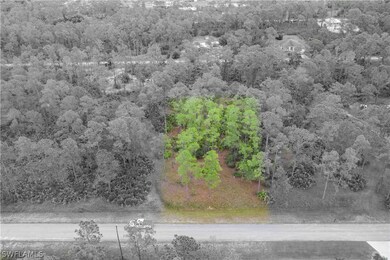 2210 Truman Ave, Alva, FL 33920 - photo 5