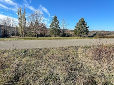 0 Williams Rd unit LotWP002, Rathbone, NY 14801 - photo 5