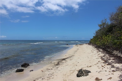 250 Zoni, Culebra, PR 00775 - photo 6