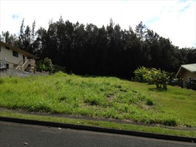 0 Palikekua St, Honokaa, HI 96727 - photo 5