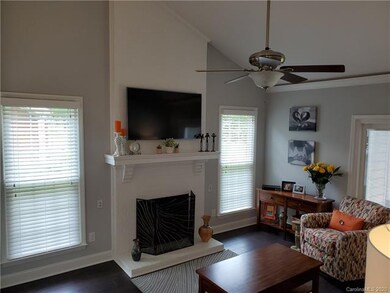 Tv And Tv Mount to stay