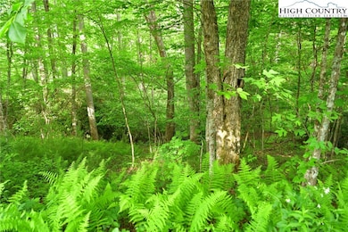 TBD Elk Knob Rd, Laurel Springs, NC 28644 - photo 6