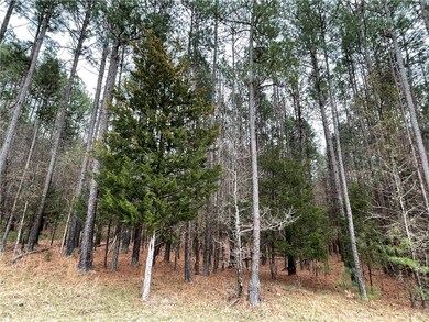 00 Twin Fawn Dr, Elberton, GA 30635 - photo 4