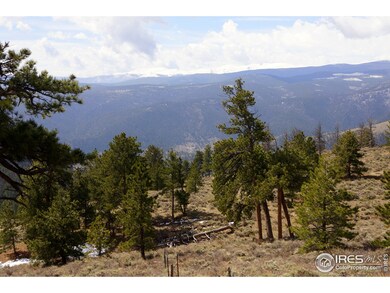 0 None unit 753268, Red Feather Lakes, CO 80545 - photo 2