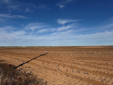 000 Ennis Creek Rd, Snyder, TX 79549 - photo 4
