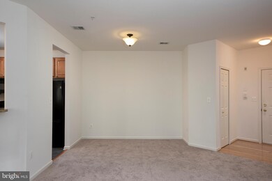 7210 Darby Downs unit G, Elkridge, MD 21075 - photo 6