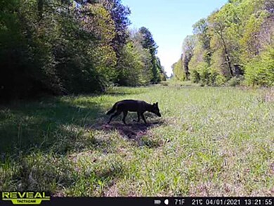 unlisted-address, Osyka, MS 39657 - photo 6