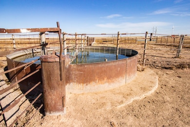 0 523 9 Acres County Road 14, Panhandle, TX 79068 - photo 7