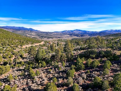 Melcarth Rd, Fort Garland, CO 81133 - photo 6