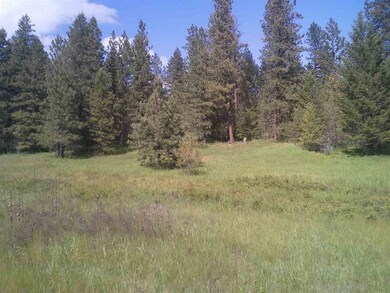 xx Dry Creek Rd, Chewelah, WA 99109 - photo 6