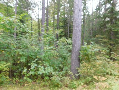 Lot 26 McCarthy Lake Rd, Tomahawk, WI 54487 - photo 4