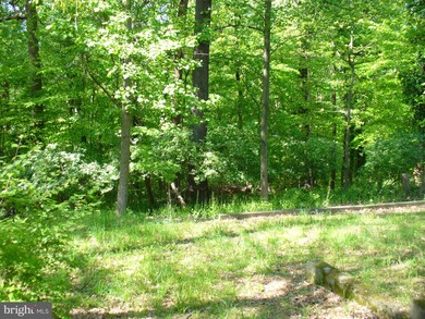 3910 Decatur Ave, Kensington, MD 20895 - photo 5