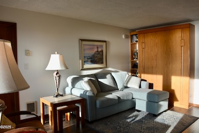 Living area with Murphy bed