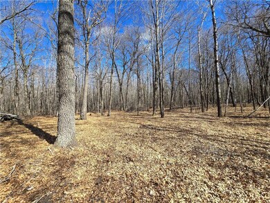 7784 Horseshoe Dr, Siren, WI 54872 - photo 4