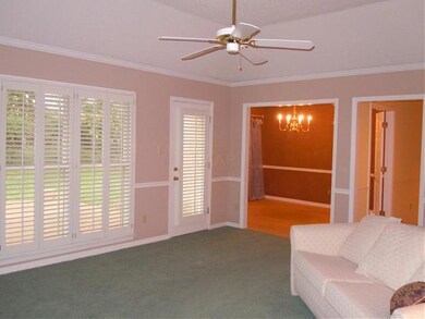 Custom Plantation Shutters on Back Door +++  Ceili