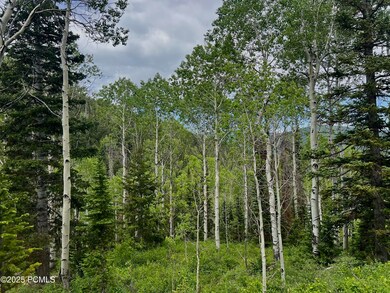 8550 N Uinta Dr unit 759, Oakley, UT 84055 - photo 2