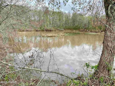 Lot 4