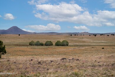 000-A1 Kirby Lane Parcel A1 Ln, Ash Fork, AZ 86320 - photo 6