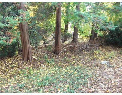 49 Blake Rd unit B, Brookline, MA 02445 - photo 4