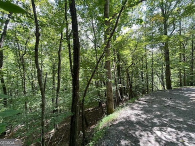 LOT 223 Bowline Dr unit 223, Ellijay, GA 30540 - photo 6