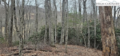 Lot 3 Raven Rock Dr, Boone, NC 28607 - photo 3