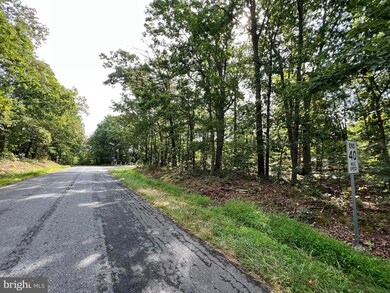 0 Fords Shop Rd, Culpeper, VA 22701 - photo 3