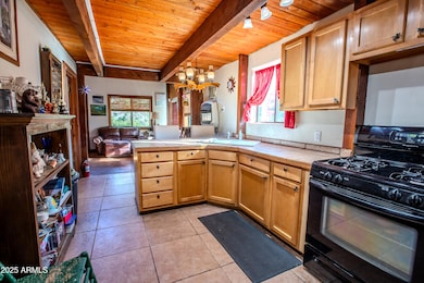 988 N Mountain Lion Pass --, Globe, AZ 85501 - photo 7