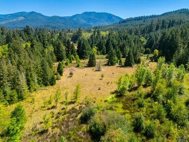 0 London-Weyerhaeuser Rd unit 24578803, Cottagegrove, OR 97424 - photo 6