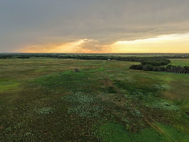 Fm171, Byers, TX 76357 - photo 4