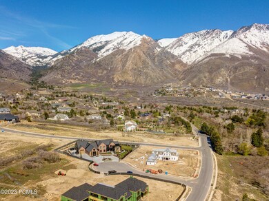 1550 N Eliza Cir Drone_03
