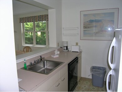 334 Packard's Rd unit 334, Waterville Valley, NH 03215 - photo 7
